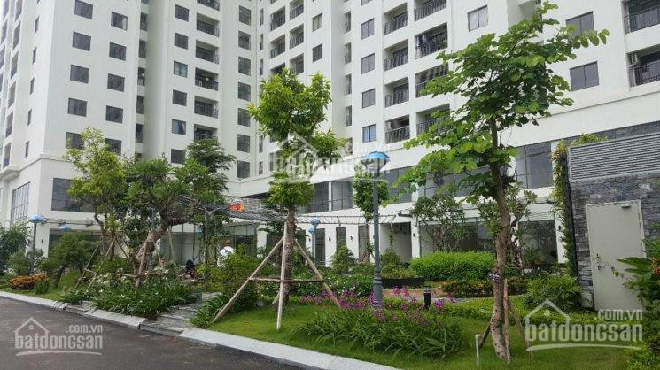 Chính Chủ Cho Thuê Nhanh Chung Cư Ecolife Capitol Tố Hữu, Từ Liêm, 40m2 1pn đủ đồ, Lh: 093 7682699 1