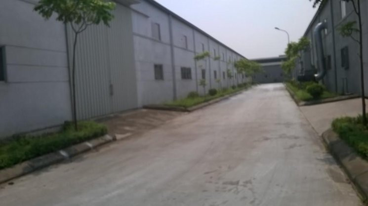 Chính Chủ Cho Thuê Nhanh Kho Xưởng đông Anh- Gia Lâm-hn, 500, 1500 Và 7000m2 Công Ty đông Hà(thuộc Kcn Nguyên Khê) 1