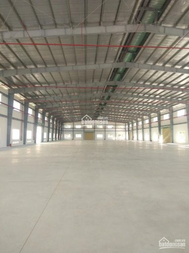 Chính Chủ Cho Thuê Nhanh Kho Xưởng đường Xa Lộ Hà Nội, Thủ đức_ Q 9, Dt (800 M2 - 2000 M2 - 5000m2 - 7000 M2) 4