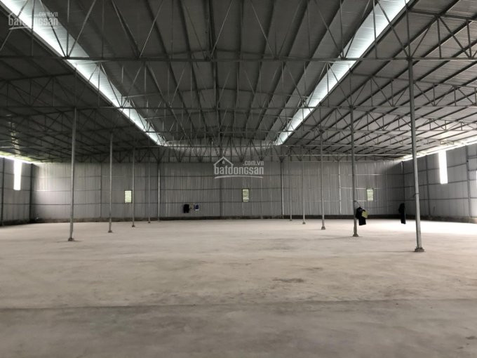 Chính Chủ Cho Thuê Nhanh Kho Xưởng Kv Lê Trọng Tấn, Hà đông, Hn, Dt: 500m2 - 1000m2 - 2000m2 1