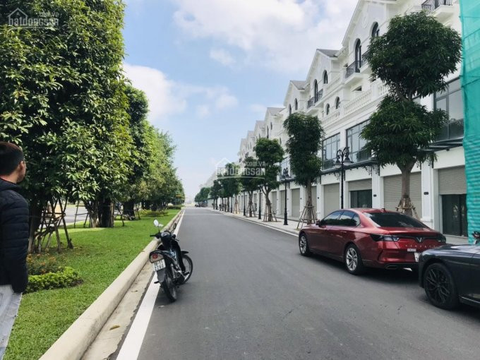 Chính Chủ Cho Thuê Nhanh Shophouse Vinhomes Ocean Park 70m2 Hoàn Thiện Giá 30 Triệu/tháng Lh 0365782782 2