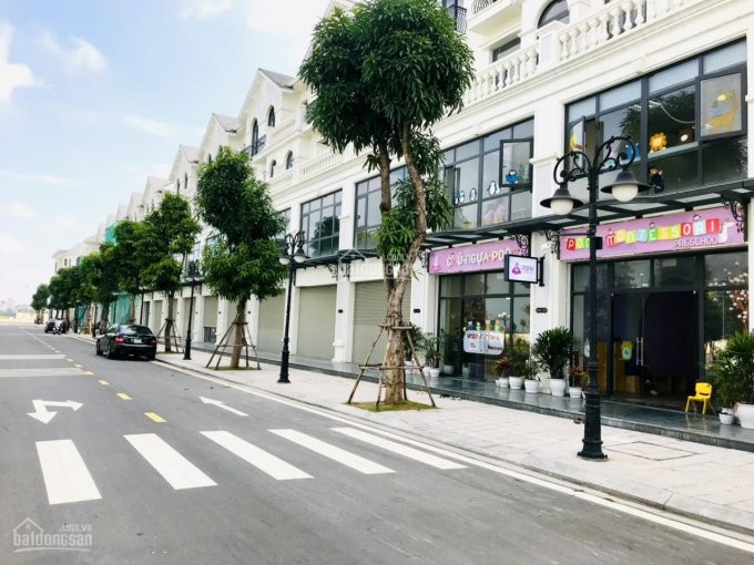 Chính Chủ Cho Thuê Nhanh Shophouse Vinhomes Ocean Park 70m2 Hoàn Thiện Giá 30 Triệu/tháng Lh 0365782782 7