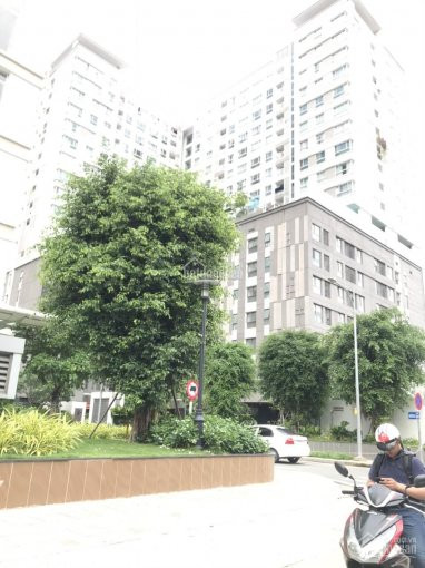 Chính Chủ Cho Thuê Nhanh Văn Phòng Orchard Garden 128 Hồng Hà Phú Nhuận, 500m2, 314 Nghìn/m2 3