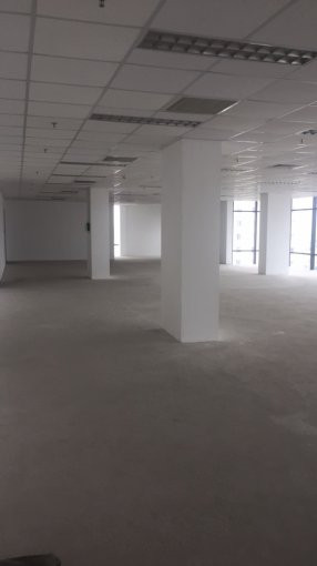 Chính Chủ Cho Thuê Nhanh Văn Phòng Quận đống đa, Hồ Hoàng Cầu 55m2, 90m2, 110m2, 230m2, 800m2, Giá 130 Nghìn/m2 5