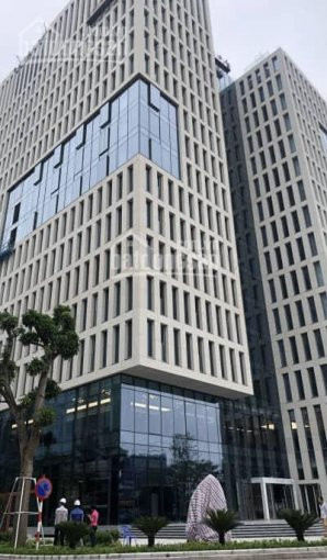 Chính Chủ Cho Thuê Nhanh Văn Phòng Tòa Nhà Thành Công Building Duy Tân Diện Tích 100, 200, 500m2 Lh 0916681696 1