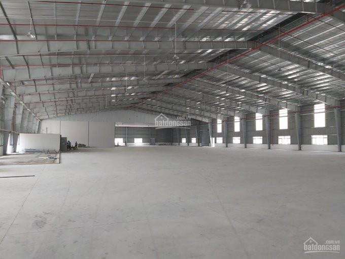 Chính Chủ Cho Thuê Nhanh Xưởng Xây Mới 100% Dt 4830m2 - 5030m2 - 10000m2 Ngay Trong Kcn Tân Phú Trung 5