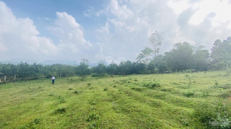 Cơ Hội Sở Hữu Ngay 6424m2 đất Thổ Cư View Tuyệt đỉnh Tại Kim Bôi, Hòa Bình 3