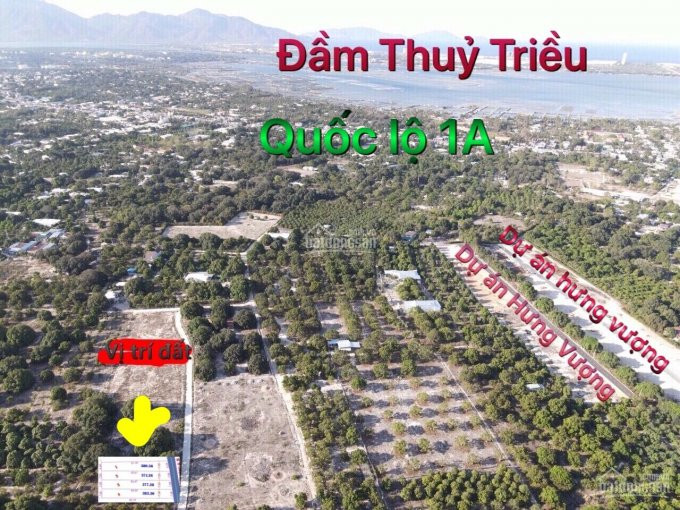 đất Có Thổ Cư Giá Rẻ - Tân Phú - Cam Thành Bắc 1