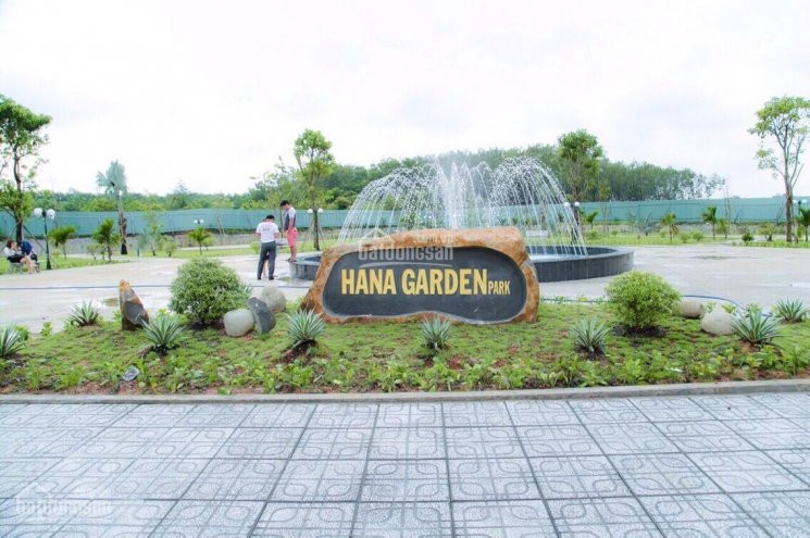 đất Hana Garden Mall Bán Gấp 2 Lô Ngay Chợ 780 Triệu 3