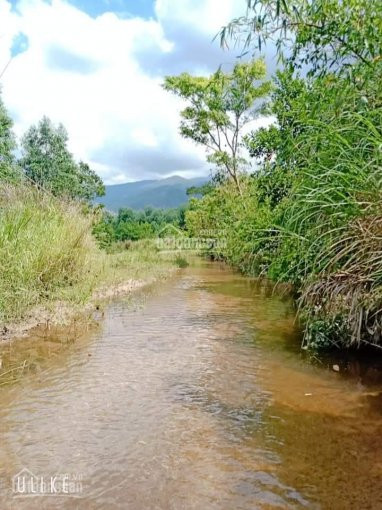 đất Làm Trang Trại, Giáp Suối Lớn, Gần Các Nông Trại Lớn 1