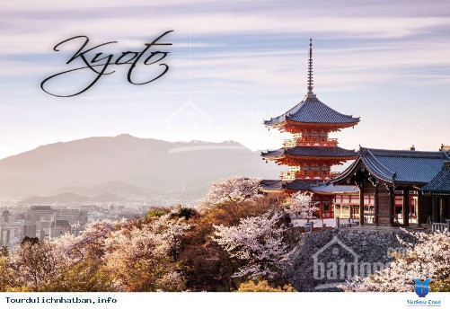 đất Nền Biệt Thự Kyoto Retreat (thuộc Sun Valley) Bảo Lộc Giá Chỉ Từ 6tr/m2 170-800m2lh 0908373422 1