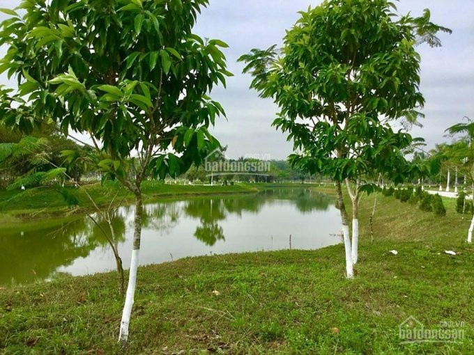 đất Nền Trong Dự án Swan Park - đông Sài Gòn, Lh: 0902513911 1