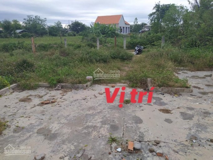 đất Rẻ Giá đầu Tư Tại Xã Ninh Trung Thị Xã Ninh Hòa 11