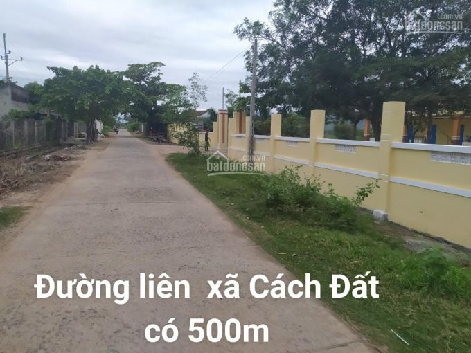 đất Rẻ Giá đầu Tư Tại Xã Ninh Trung Thị Xã Ninh Hòa 13