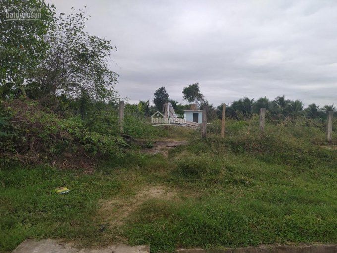 đất Rẻ Giá đầu Tư Tại Xã Ninh Trung Thị Xã Ninh Hòa 15