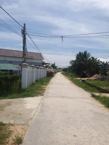 đất Rẻ Giá đầu Tư Tại Xã Ninh Trung Thị Xã Ninh Hòa 16