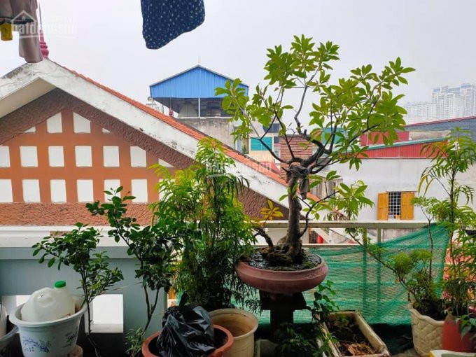 đón Tết Nhà Mới, Rẻ đẹp ở Ngay, Phú đô  Nam Từ Liêm, 75m2, Mt 65m, 545 Tỷ 7