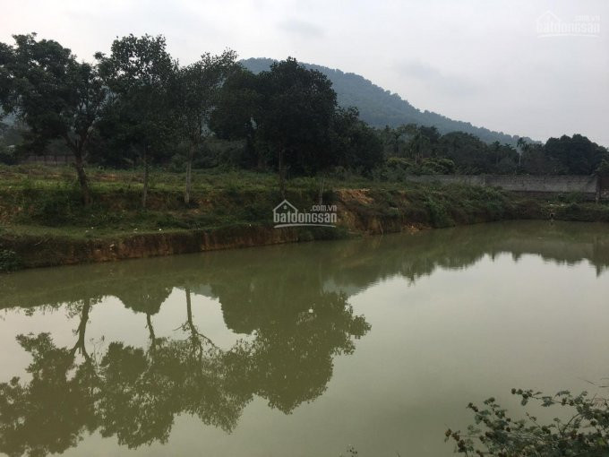 Dt: 6800m2 Cần Bán Nhanh Lô đất đẹp Thoáng View Hồ Tại Hòa Sơn, Lương Sơn, Hòa Bình 1