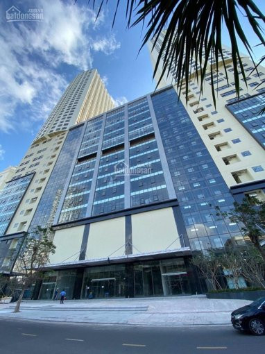 Gold Coast - Tôi Cần Bán Gấp Căn Hộ 2 Phòng Ngủ Tầng Cao Giá Rẻ Nhất Mùa Dịch Ban Công View Biển 1