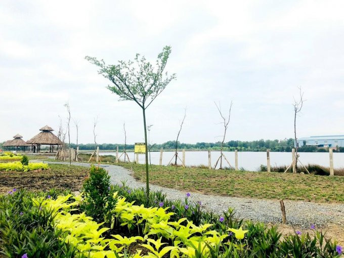 Hamiton Garden (khu Dân Cư Mỹ Hạnh Bắc) Full Thổ Cư, Shr Từng Nền 2