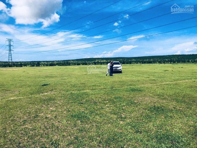 Hãy Là Nhà đầu Tư Sáng Suốt Khi đầu Tư đất Bình Thuận 60 Nghìn/m2 3