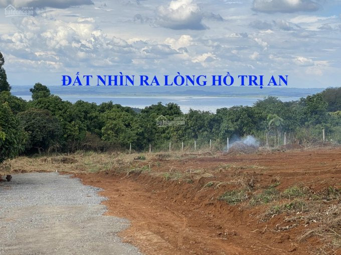 Hơn 165m2 đất Thổ Cư Cho Các Nhà đầu Tư Tại định Quán 3