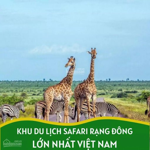 #hồng_thái_garden, Xu Hướng Lựa Chọn đất Nông Nghiệp Ven Biển đầu Tư, Giá Chỉ 60k/m2 Sổ đỏ Có Sẳn 2