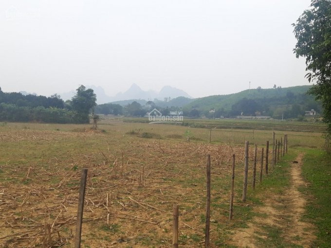 [hot] Cần Bán Gấp 850 M2 Có 400 M đất ở Tại Nam Thượng, Kim Bôi Giá Hấp Dẫn 2