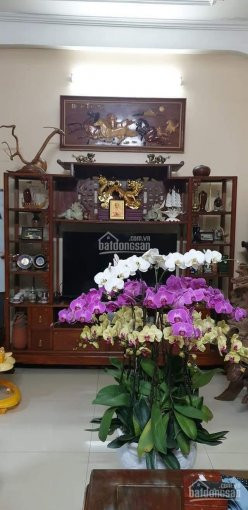 Mặt Hồ - Phương Mai đống đa - Lô Góc - Ga Ra ô Tô 2 Chiếc - đẹp 5