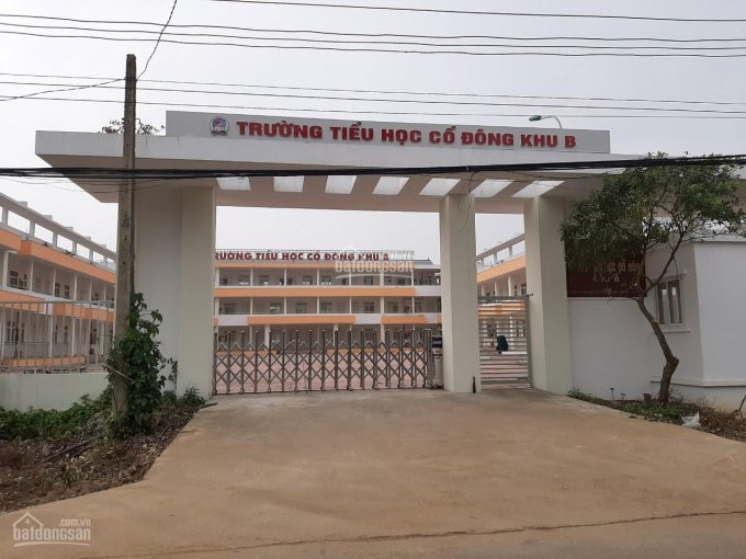 Ngay Sân Bóng đồng Trạng Cổ đông ,lô Góc Giá đầu Tư Dt 356m2 Lh : 0839189789 1