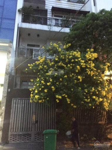 Nhà đẹp Tìm Chủ Mới - Khu Sang Trọng Nguyễn Văn Trỗi - Nam Kỳ Hầm 5 Lầu 7,4x19m Giá Chỉ Có 33,5 Tỷ 6