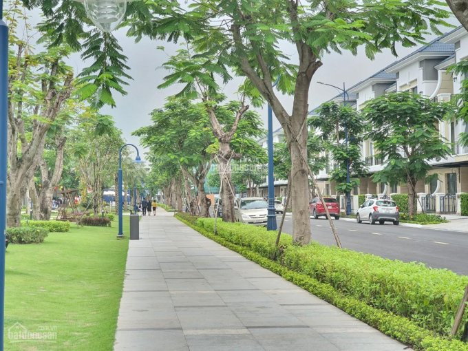 Nhà Phố Verosa Park, 6x17,4m, Cần Bán Giá 116 Tỷ 8