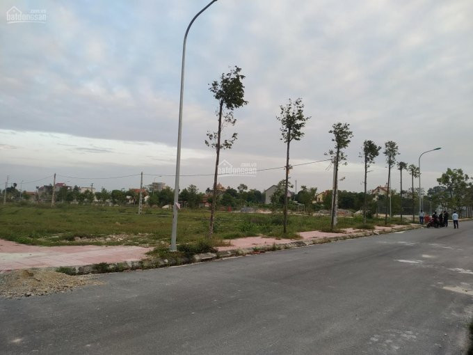 Nhanh Tay đặt Chỗ Nhận Vị Trí đẹp đất Nền Kđt Chí Linh Palm City Giá Chỉ Từ 13 Tr/m2, Ck Tới 11% 1