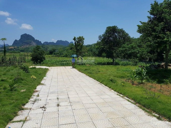 Nhương Lại 4200m đất Thổ Cư View Thoáng đẹp Tại Lương Sơn 5