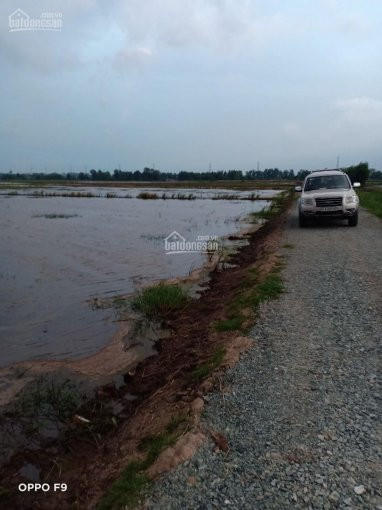 Nhượng Quyền Sử Dụng đất 3414,4m Một Triệu Ba Trăm Năm Mươi Ngàn, đất Trồng Cây Lâu Năm Làm Ao Vườn 4