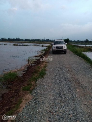 Nhượng Quyền Sử Dụng đất 3414,4m Một Triệu Ba Trăm Năm Mươi Ngàn, đất Trồng Cây Lâu Năm Làm Ao Vườn 5