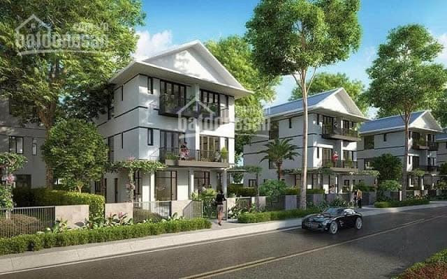 Pkd Hưng Thịnh Mở Bán đợt Cuối D/a Lavida Residences Lô Lk, Shophouse, Bt Kí Với Cdt 0938595337 6