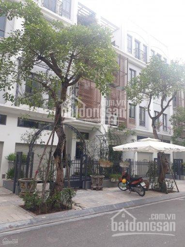 Shophouse 5 Tầng Nhà Phố Thương Mại The Manor Central, Chiết Khấu 12%, Thanh Toán 30% Nhận Nhà 1