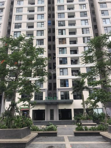 Shophouse Tầng 1 Green Bay Garden 30 Tầng Gồm 1428 Căn Hộ, Kinh Doanh Với Lượng Khách 5000 Cư Dân 8