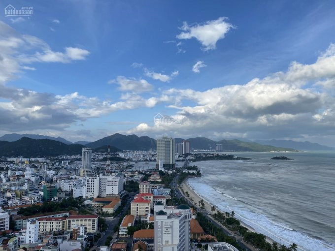 Sở Hữu Ngay Căn Hộ "01" Studio Goldcoast-hàng độc Quyền-giá Chỉ 2 Tỷ 150- View Biển Siêu đẹp !!! 1