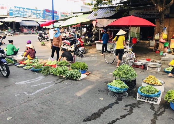 Tôi Chính Chủ Bán Gấp 300m2 đất ở Bến Cát Bình Dương Sát Bên Là Khu Công Nghiệp đất ở đô Thị 3