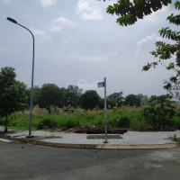 43tỷ/8x19m, Khu Dân Cư đại Học Mở, Tam đa, 152m2, đường Thông, Bên Quán Cà Phê Và Căn Biệt Thự