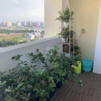 Chính Chủ Bán Nhanh Căn Hộ 3pn Tốt Nhất Estella Cho Diện Tích 125m2 - View Công Viên - Giá Bán 6,8 Tỷ