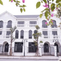 Chính Chủ Bán Nhanh Gấp Shophouse Sao Biển Vinhomes Ocean Park 67,5m2, Giá 7,2 Tỷ Bao Phí Liên Hệ 0911341288