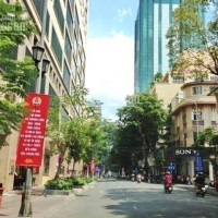 Chính Chủ Cần Bán Mt Bùi Viện Q1, 8,2x20m, 4 Lầu, Cho Thuê 256tr/th 70 Tỷ