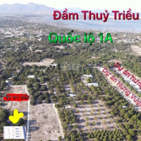 đất Có Thổ Cư Giá Rẻ - Tân Phú - Cam Thành Bắc