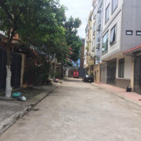 đất đẹp - Bán đất Lô Góc 56,8m2 Khu Ao Sen Tư đình, Phường Long Biên, Quận Long Biên, Hn