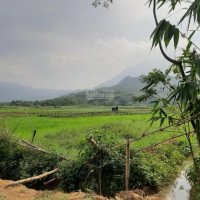 Duy Nhất Tại Vân Hòa, Dt 1800m2, Mặt Tiền Rộng, View Cánh đồng Giá Hấp Dẫn