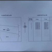 Hãy Là Nhà đầu Tư Sáng Suốt Khi đầu Tư đất Bình Thuận 60 Nghìn/m2