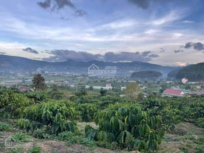 836m2 đất Thị Trấn Nam Ban, Giá 750tr, Full Thổ, Sổ Sẵn, đường Betong Oto đi, View Toàn Thị Trấn 1